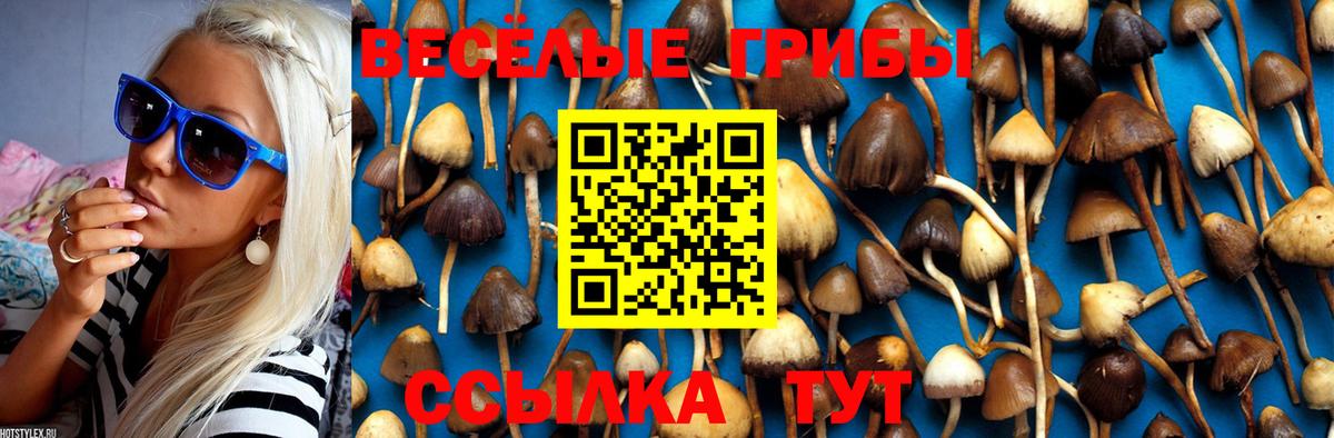 Добрянка  Галлюциногенные грибы Psilocybine cubensis  магазин продажи наркотиков  Вход с VPN  Галлюциногенные грибы MAGIC MUSHROOMS 